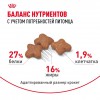 Royal Canin Mini Adult     - zooural.ru - 