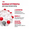 Royal Canin Mini Adult     - zooural.ru - 