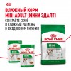 Royal Canin Mini Adult     - zooural.ru - 