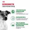 Royal Canin Mini Adult      - zooural.ru - 