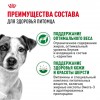 Royal Canin Mini Adult      - zooural.ru - 