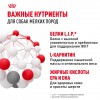 Royal Canin Mini Adult      - zooural.ru - 