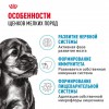 Royal Canin Mini Puppy - zooural.ru - 