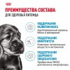 Royal Canin Mini Puppy - zooural.ru - 