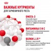Royal Canin Mini Puppy - zooural.ru - 