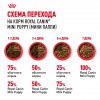 Royal Canin Mini Puppy - zooural.ru - 