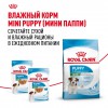 Royal Canin Mini Puppy - zooural.ru - 