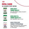Royal Canin Mini Puppy    - zooural.ru - 