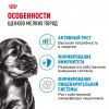 Royal Canin Mini Puppy    - zooural.ru - 