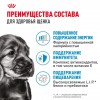 Royal Canin Mini Puppy    - zooural.ru - 