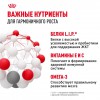 Royal Canin Mini Puppy    - zooural.ru - 