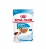 Royal Canin Mini Puppy    - zooural.ru - 