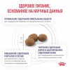 Royal Canin NEUTERED SATIETY BALANCE сухой корм для кошек - zooural.ru - Екатеринбург