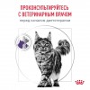 Royal Canin NEUTERED SATIETY BALANCE сухой корм для кошек - zooural.ru - Екатеринбург