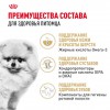 Royal Canin Pomeranian Adult     - zooural.ru - 