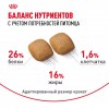 Royal Canin Pomeranian Adult     - zooural.ru - 