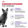 Royal Canin Sterilised 37     - zooural.ru - 