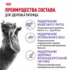 Royal Canin Sterilised 37     - zooural.ru - 