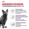 Royal Canin Sterilised 7+     - zooural.ru - 