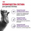 Royal Canin Sterilised 7+     - zooural.ru - 
