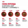 Royal Canin Sterilised 7+     - zooural.ru - 