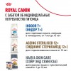 Royal Canin Sterilised 7+     - zooural.ru - 