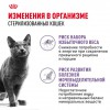 Royal Canin Sterilised     - zooural.ru - 