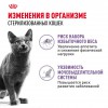 Royal Canin Sterilised     - zooural.ru - 