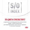 Royal Canin SATIETY WEIGHT MANAGEMENT     - zooural.ru - 