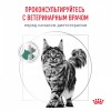 Royal Canin SATIETY WEIGHT MANAGEMENT     - zooural.ru - 