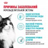 Royal Canin Urinary Care     - zooural.ru - 