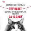 Royal Canin Urinary Care     - zooural.ru - 
