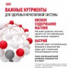 Royal Canin Urinary Care     - zooural.ru - 