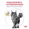 Royal Canin URINARY S/O       - zooural.ru - 