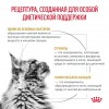 Royal Canin URINARY S/O       - zooural.ru - 