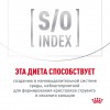Royal Canin URINARY S/O       - zooural.ru - 