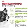 Royal Canin X-Small Adult     - zooural.ru - 