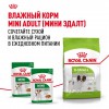 Royal Canin X-Small Adult     - zooural.ru - 