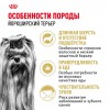Royal Canin Yorkshire Terrier Adult     - zooural.ru - 