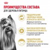 Royal Canin Yorkshire Terrier Adult     - zooural.ru - 