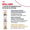 Royal Canin Yorkshire Terrier Adult     - zooural.ru - 