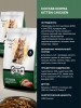 Gina Super Premium Kitten Chicken ��� ����� - zooural.ru - ������������