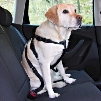 Автомобильный ремень безопасности Trixie для собак - zooural.ru - Екатеринбург