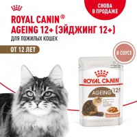 Royal Canin AGEING 12+     - zooural.ru - 