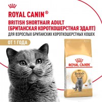 Royal Canin British Shorthair Adult     - zooural.ru - 