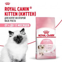 Royal Canin Kitten     - zooural.ru - 