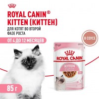 Royal Canin Kitten Gravy       - zooural.ru - 