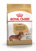 Royal Canin Dachshund Adult Корм сухой для собак - zooural.ru - Екатеринбург
