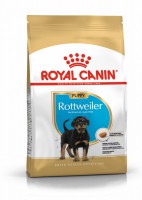 Royal Canin Rottweiler Puppy Корм сухой  для щенков - zooural.ru - Екатеринбург