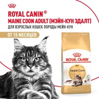 Royal Canin Maine Coon Adult     - zooural.ru - 